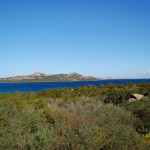 DSC_3509_1