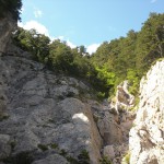 CIMG0633
