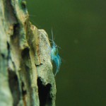 DSC_2629 DSC_2629