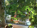 Es wird bunt