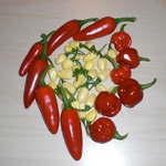 Erntezeit